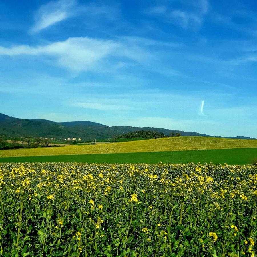 Agroturystyka Sielska Kraina Zabkowice Slaskie Zewnętrze zdjęcie